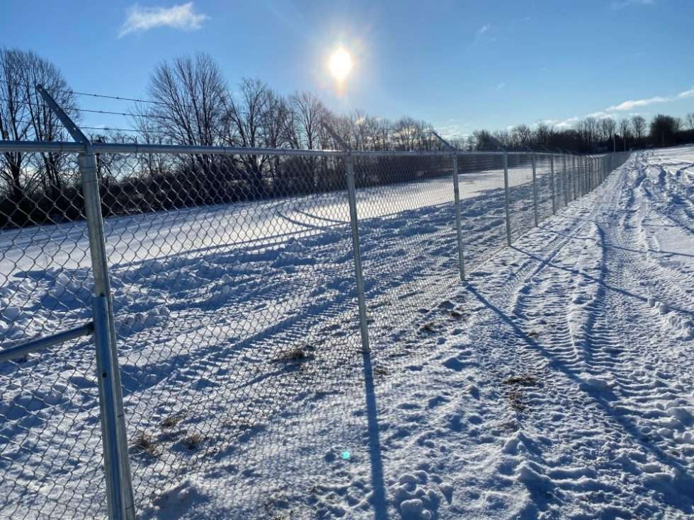 cannabis_fencing4 (1)